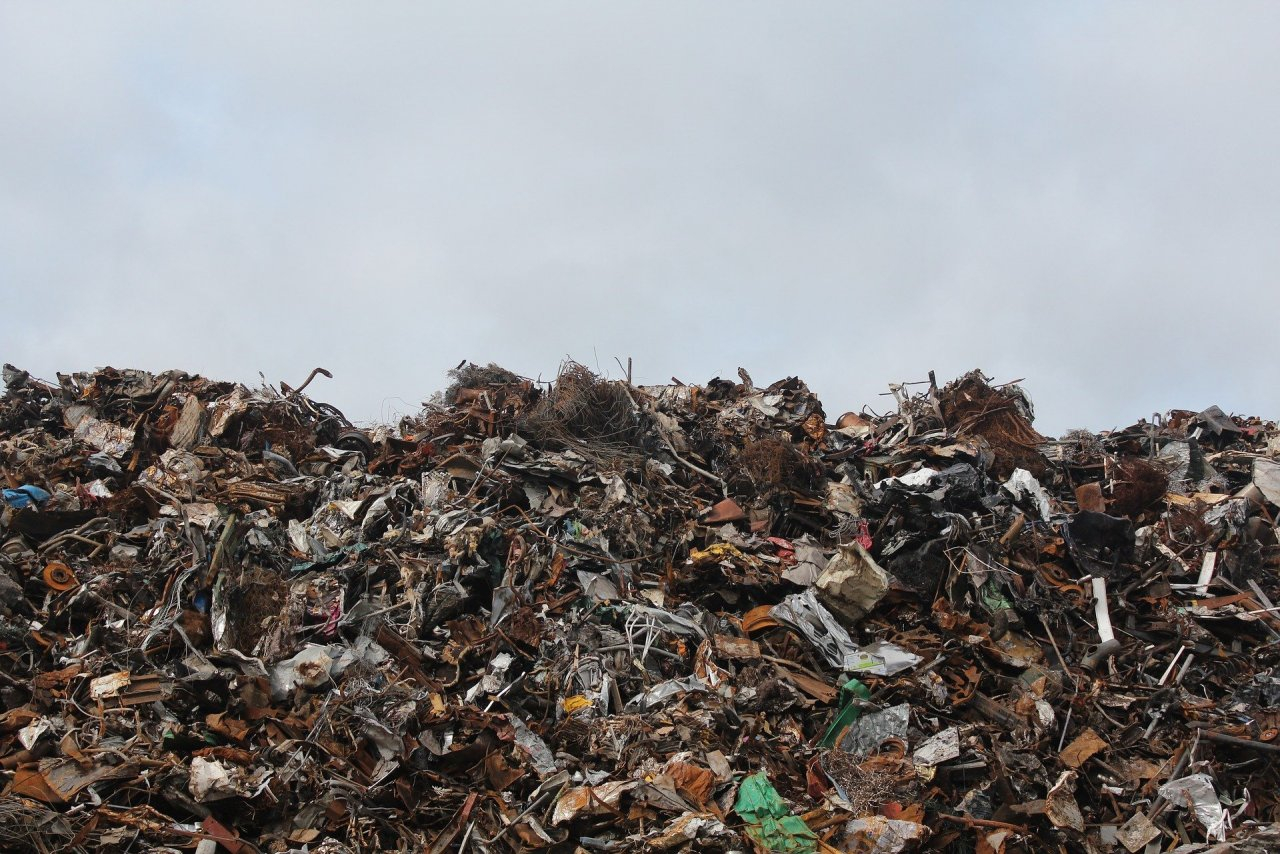 Московский мусор будут официально завозить во Владимирскую область