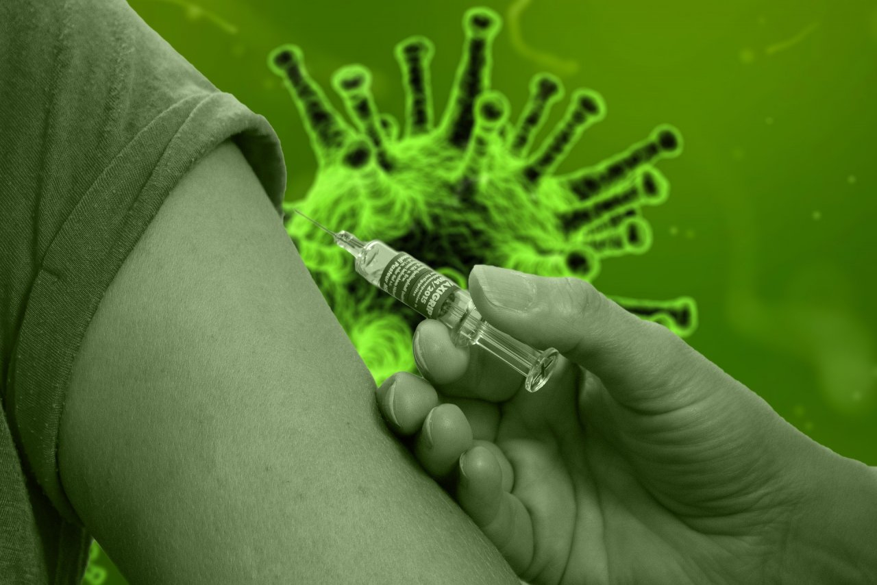 Владимирская область получит 1100 доз отечественной вакцины от COVID-19