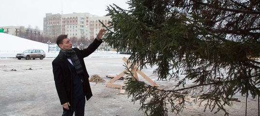 Владимирские экоактивисты попросили заменить живую ель у Белого дома на искусственную