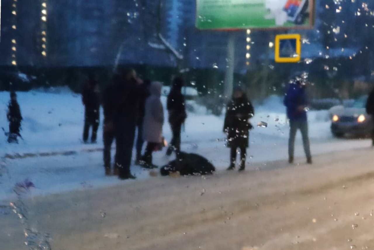 21 ноября 2012. 2.02.2021 ДТП В городе Муроме. ДТП во Владимире вчера сбили человека. Девочки сбили во Владимире.