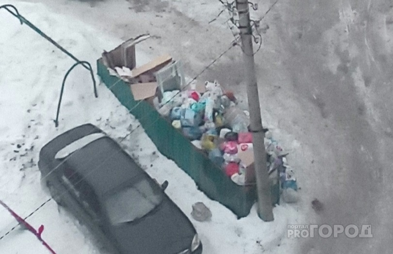 Жители Владимира жалуются на переполненные мусорные баки