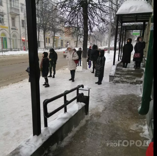 Фото к статье: Станет ли 13 марта началом весны во Владимире?
