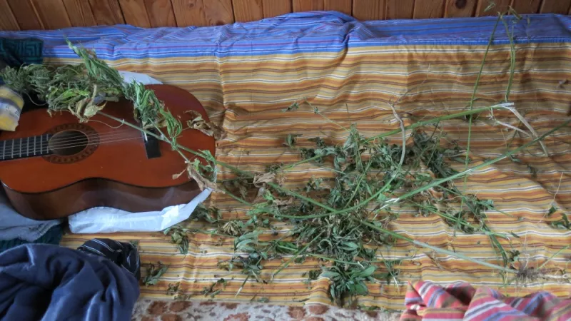 Фото к статье: "Масштабы наркотизации населения - это угроза безопасности наших граждан".