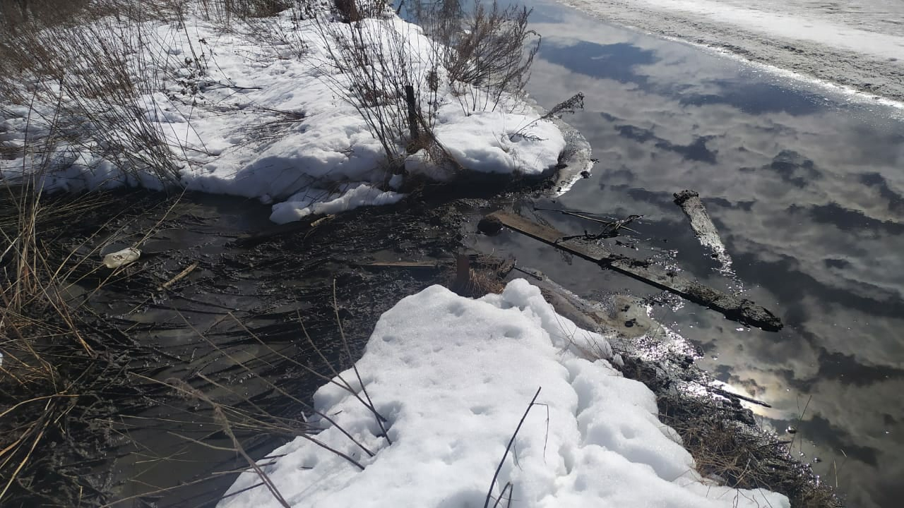 Экологическая катастрофа в Петушинском районе: навоз отравляет Пекшу