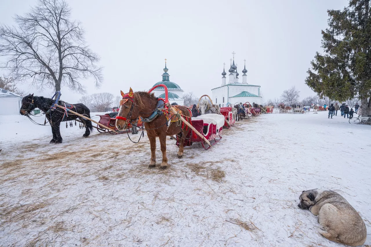 Фото к статье: Новая школа с бассейном и парковки: что ещё получит Суздаль на своё 1000-летие?