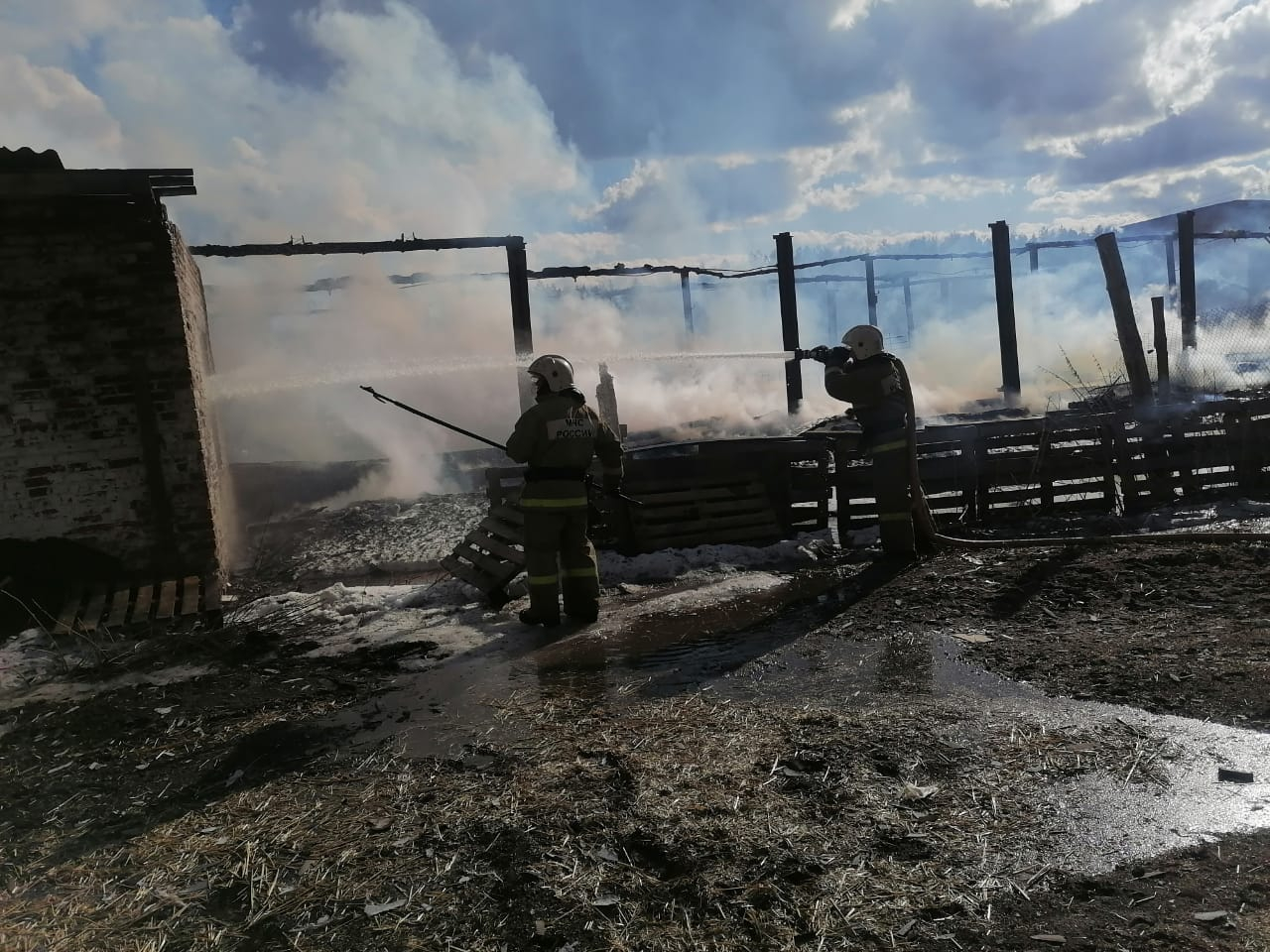 Во Владимирской области сгорела ещё одна животноводческая ферма