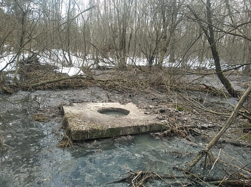 Росприроднадзор подтвердил загрязнение реки Нерль у посёлка Сокол