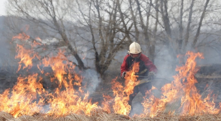 Из-за пала сухой травы в Гусь-Хрустальном районе может сгореть деревня