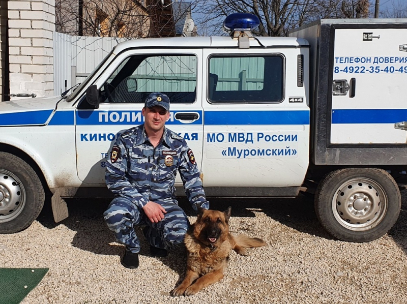 "Комиссар Рекс" по-владимирски: собака помогла поймать магазинного вора