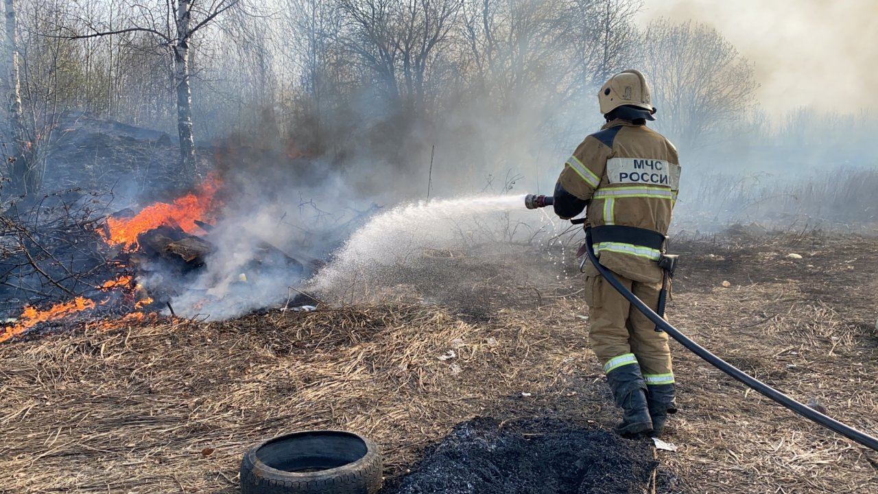 Площадь травяных пожаров во Владимирской области превысила тысячу гектаров