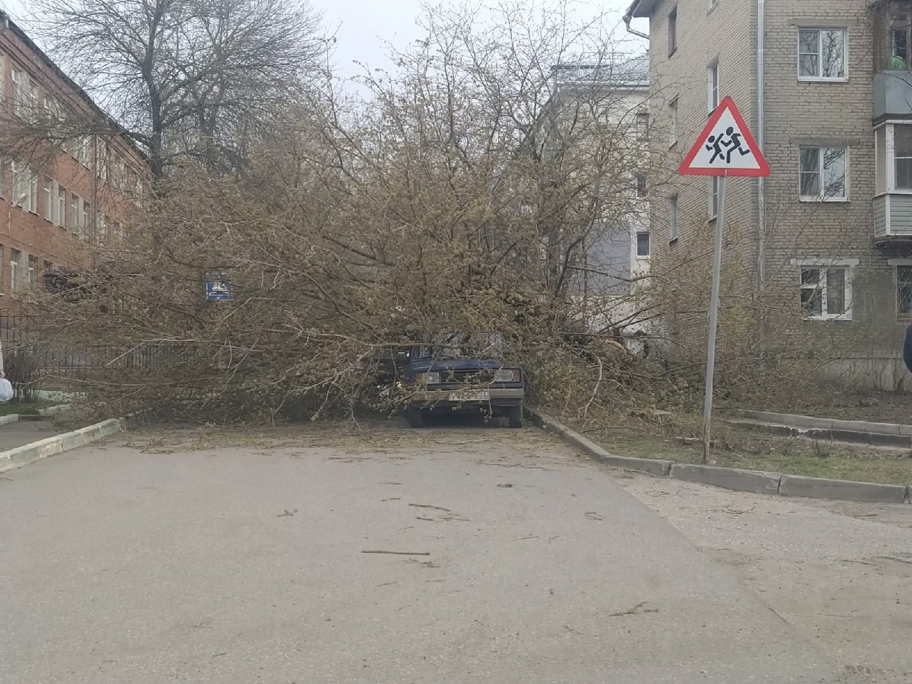 На улице Пичугина дерево упало на две легковушки