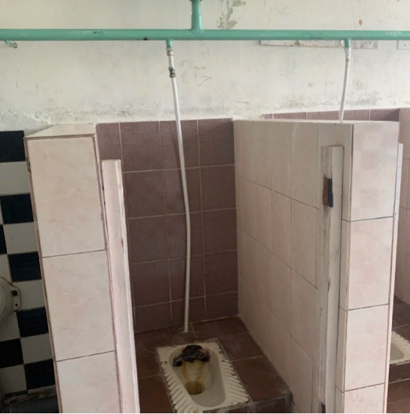 Школа из Владимирской области стала лидером "туалетного" антирейтинга