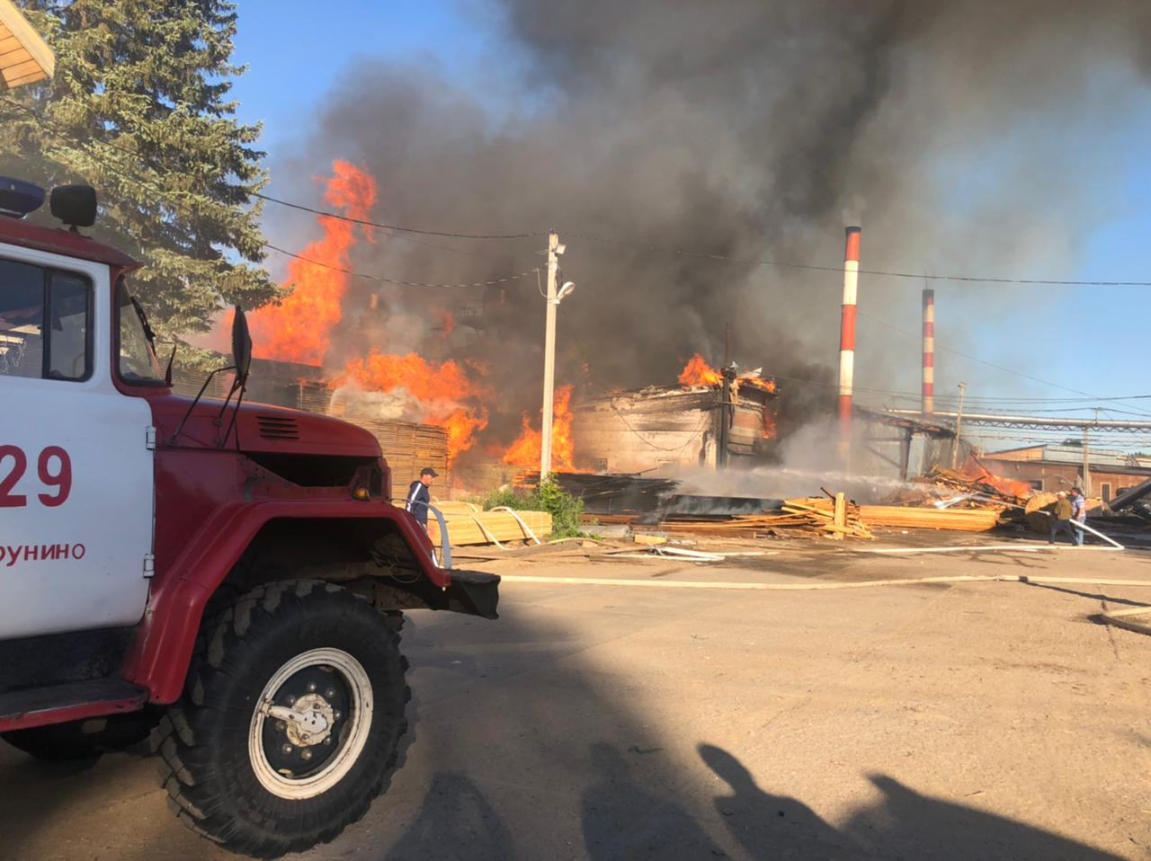 Крупный пожар уничтожил деревообрабатывающую фабрику в Струнино