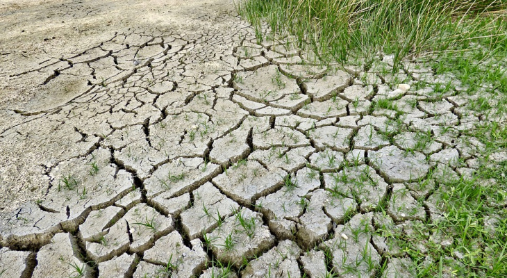 Синоптики предупреждают владимирцев о сильной засухе в июле