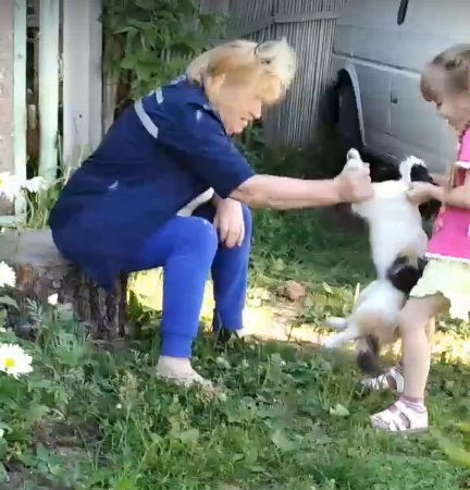 Видео издевательства бабушки и внучки над кошкой в Гусь-Хрустальном заинтересовало УМВД