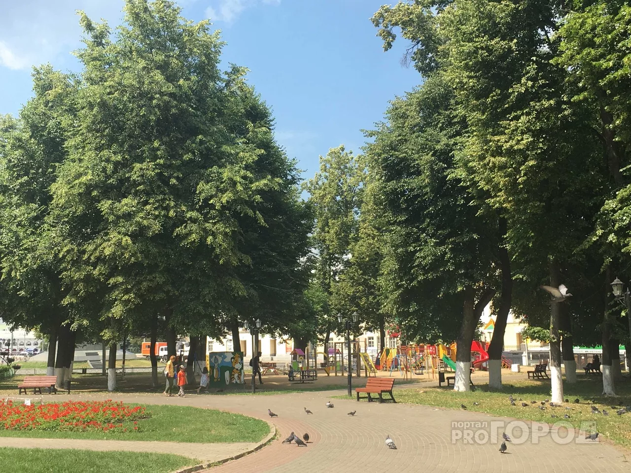 Фото к статье: Гидрометцентр предупреждает владимирцев о похолодании