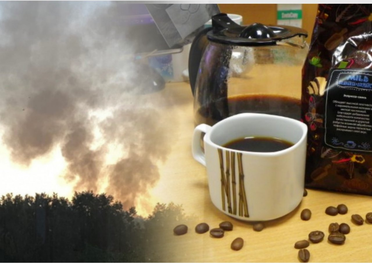 Новости минувшего дня: пожар в Центральном парке и рост цен на кофе