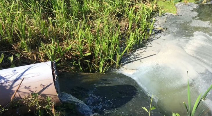 Названы самые злостные предприятия-загрязнители вод Владимирской области