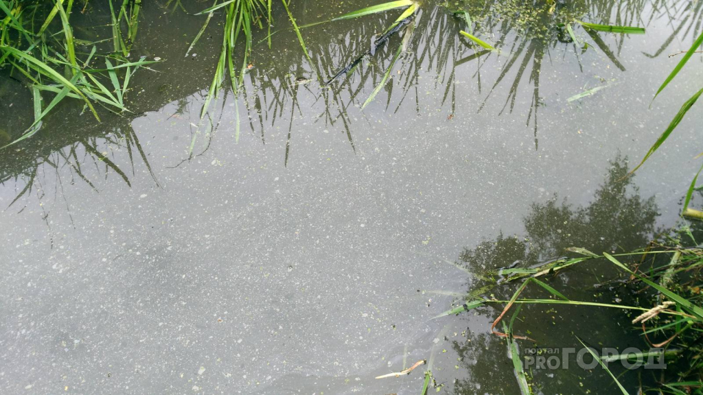 Три недели "Водоканал" отравлял ручей в Юрьевце сточными водами
