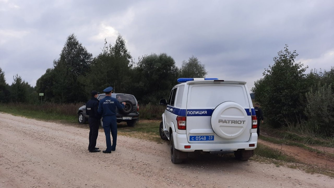 В Судогодском районе двое 13-летних детей заблудились в лесу