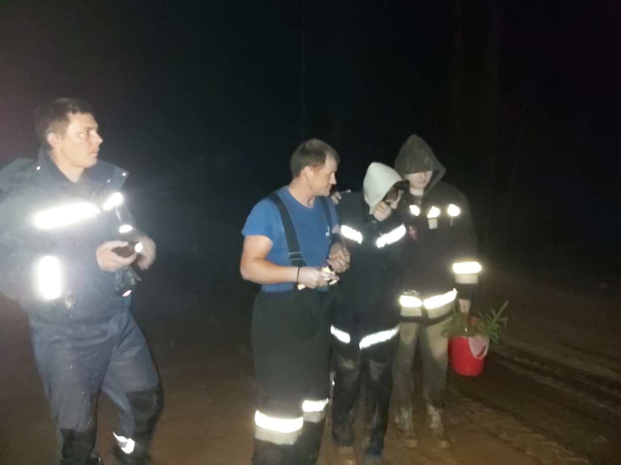 За несколько дней в лесах Владимирской области потерялись 9 человек
