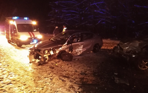 Лобовое столкновение во Владимирской области: есть пострадавшие
