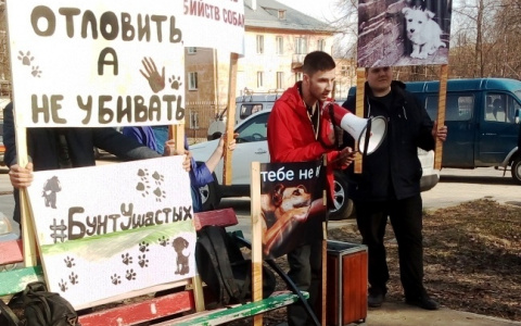 Владимирские зоозащитники провели акцию против живодёров