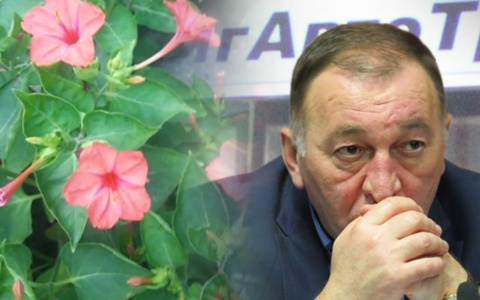 Владимирское утро: яркие цветы, аппетитная щука и воспоминания об ушедшем