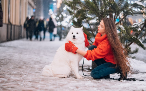 Погода во Владимире: что прогнозируют синоптики на выходные?