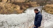 В Петушинском районе начали проверку по факту загрязнения реки навозом