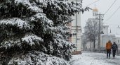 Гидрометцентр предупредил об аномальном тепле во Владимирской области