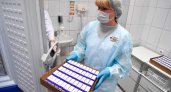 В России проведут испытания владимирской вакцины от COVID-19