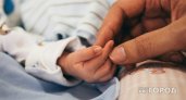Во Владимирской области смертность снизилась, а рождаемость увеличилась