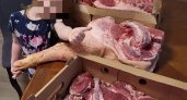 Ради рекламы маленькую девочку сфотографировали с четвертью свиной туши