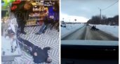Новости дня: драка в собинском магазине и инцидент с "ватрушкой" в Муроме