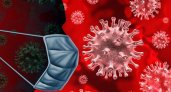 За сутки во Владимирской области заболели коронавирусом 449 человек