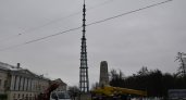 Во Владимире начали установку главной ели города