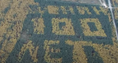 Под Владимиром обнаружен гигантский геоглиф "Ленин 100 лет"