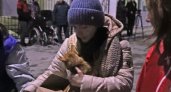 В ответе за тех, кого приручили: беженцы из ДНР и ЛНР приехали во Владимир с животными