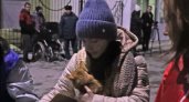 Домашние животные из ДНР и ЛНР нуждаются в помощи