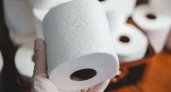 В России хотят производить туалетную бумагу из камня
