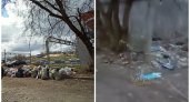 "Жителям вообще некуда выбрасывать мусор": граждане возмущаются неубранным мусором