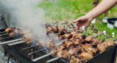 Владимирцев будут штрафовать за шашлыки на даче: как законно обойти запрет