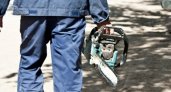 В Гусь-Хрустальном районе мужчина похитил бензопилу и арбалет