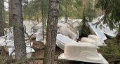 В лесу в Ковровском районе обнаружили свалку ванн