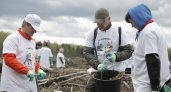 Сотрудники Сбера приняли участие в восстановлении леса совместно с ЗАО «Муром»