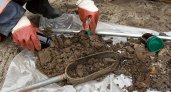 В землях Собинского района нашли кишечную палочку и тяжелые металлы