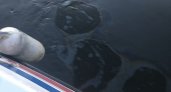 Под Муромом в Оке обнаружили нефтяное пятно