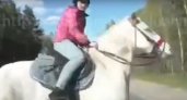 Опубликовано видео столкновения легковушки с девочкой на лошади