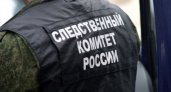 В городе Шуя задержали педофила из Владимирской области
